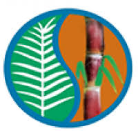 PAS Logo